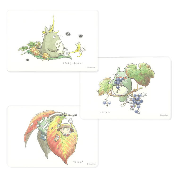 トトロファンド ポストカードセット（草花）｜三鷹の森ジブリ美術館